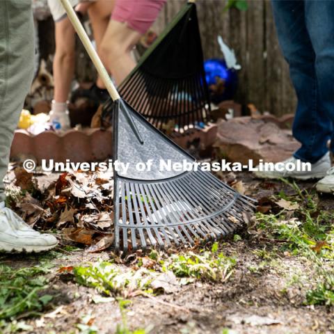 Students of Delta Phi Fraternity rake leaves in a homeowner’s garden during the Big Event. May 4, 2024. Photo by Kirk Rangel for University Communication.